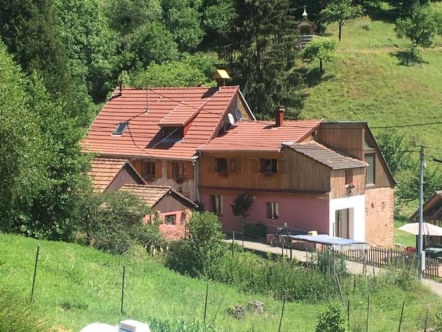 Gite De La Grande Verrerie 6 Personnes Ribeauville Bagian luar foto